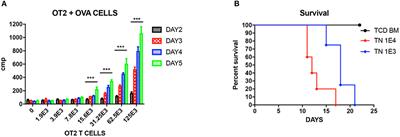 Donor Allospecific CD44high Central Memory T Cells Have Decreased Ability to Mediate Graft-vs.-Host Disease